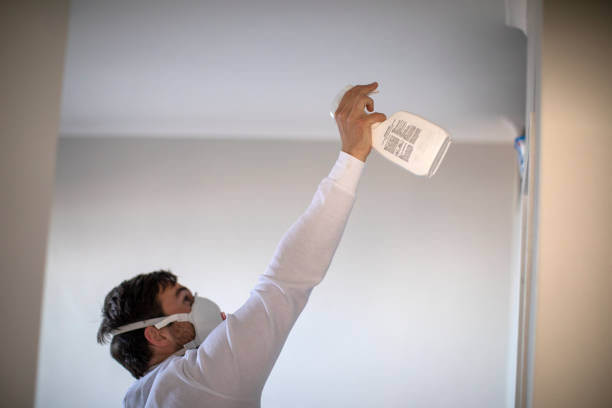 Best Mold Remediation  in Hampton, VA