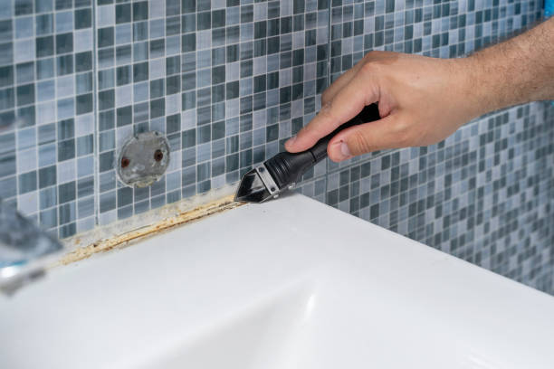 Best Black Mold Removal  in Hampton, VA