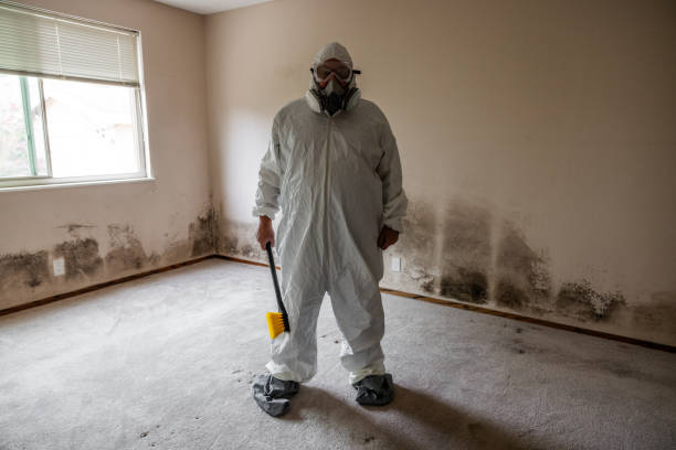 Best Mold Testing  in Hampton, VA